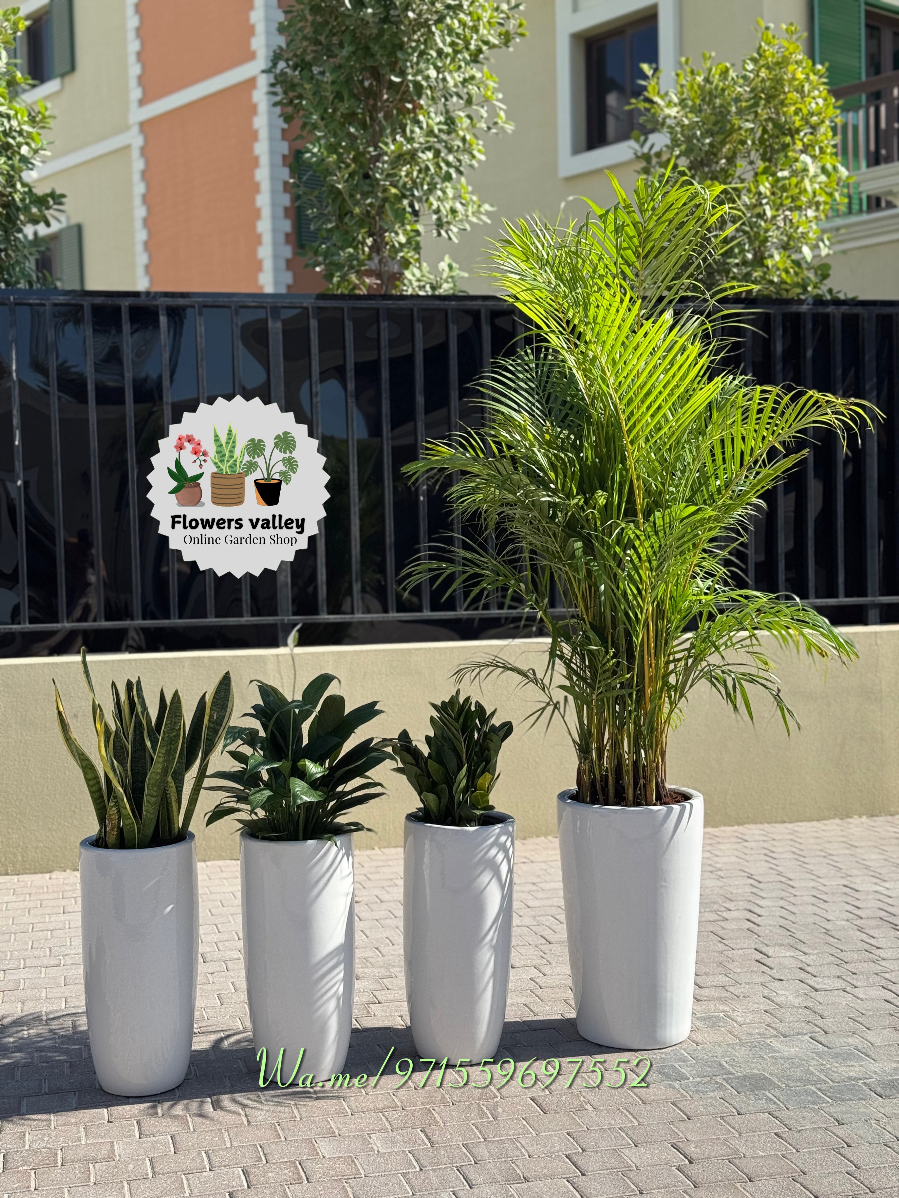 Bundle of 4 plants with pots .